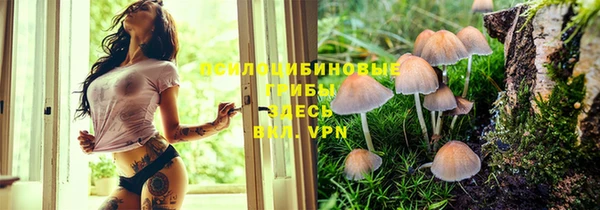 гашик Волоколамск